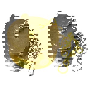 2-1/2 NST BRS PLUG & CHAIN